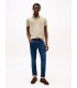Polo mc tommy menswear rbtsandalwood