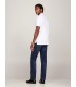 Polo mc tommy menswear ybrwhite