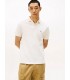 Polo mc tommy menswear z00ivory