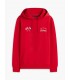 Sweat capuche tommy menswear xlgred
