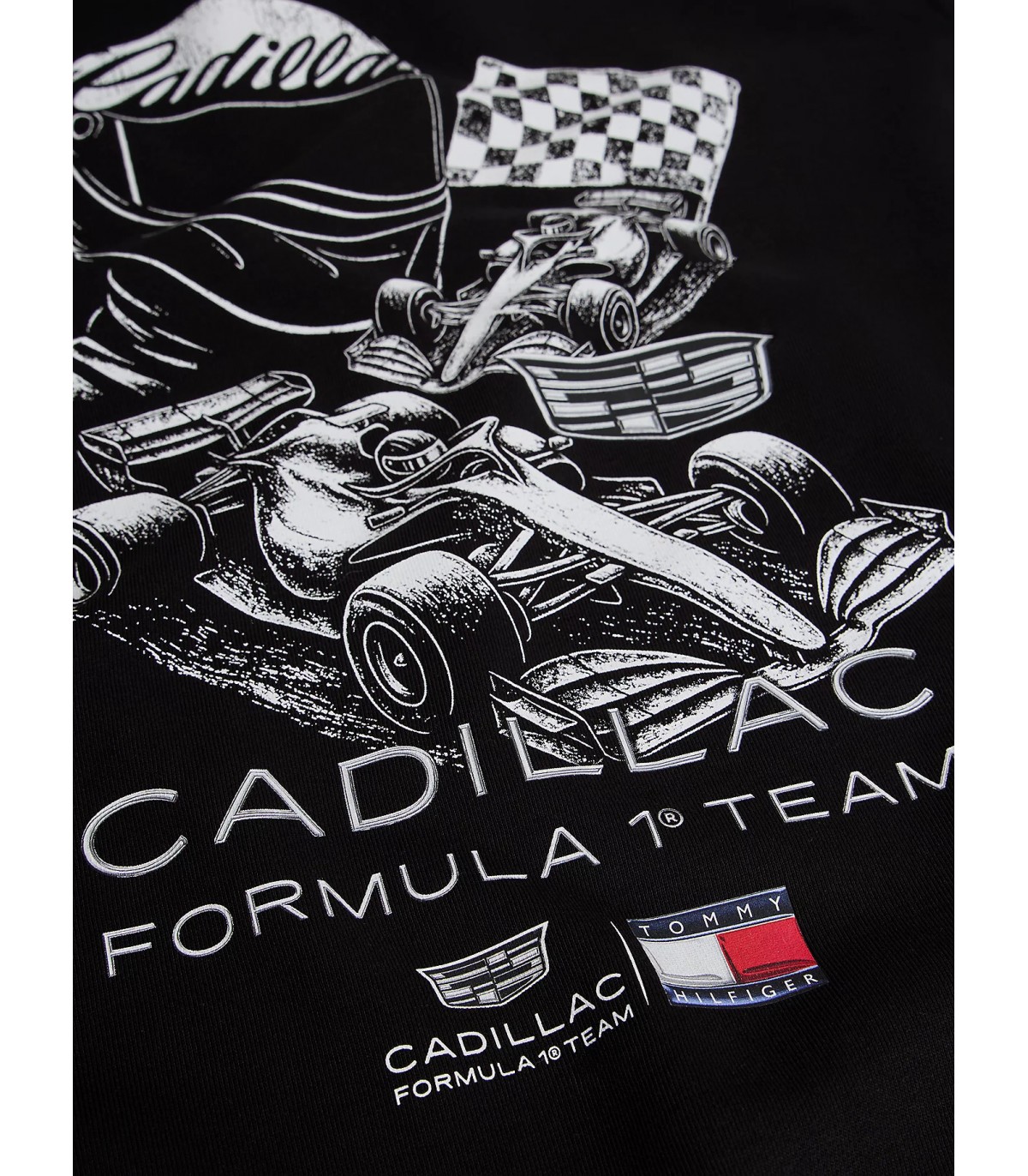 Sweat capuche tommy menswear bdsblack
