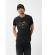 Tee shirt mc teddy smith 133acharbon