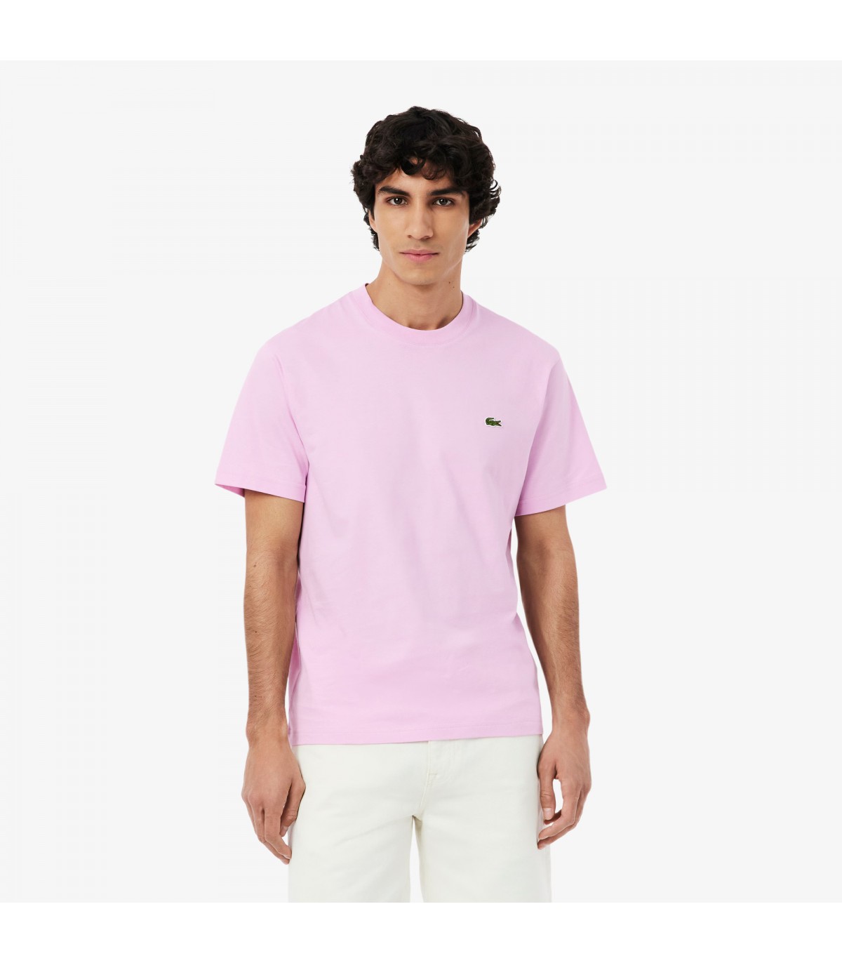 Tee shirt mc lacoste z4halbizia