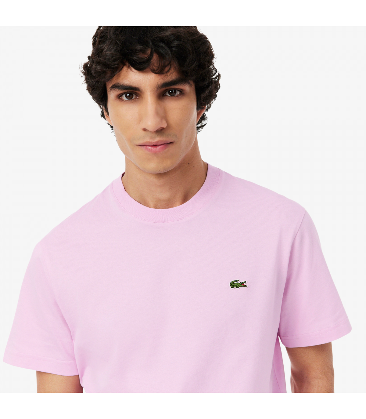 Tee shirt mc lacoste z4halbizia