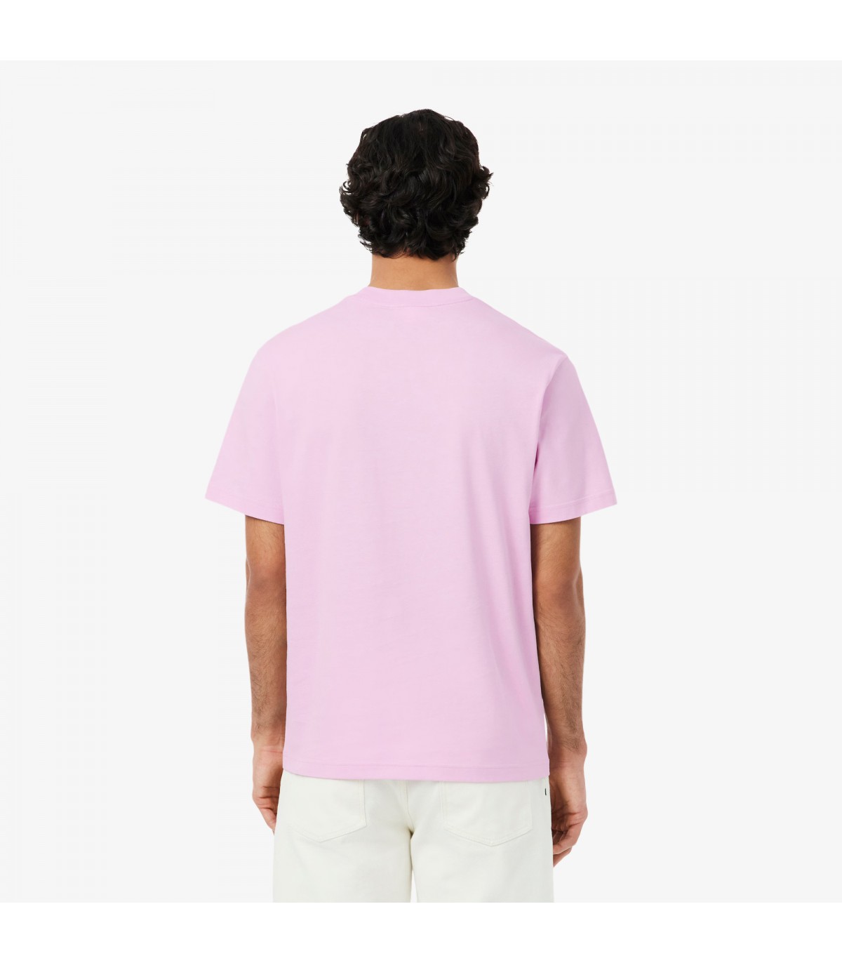 Tee shirt mc lacoste z4halbizia