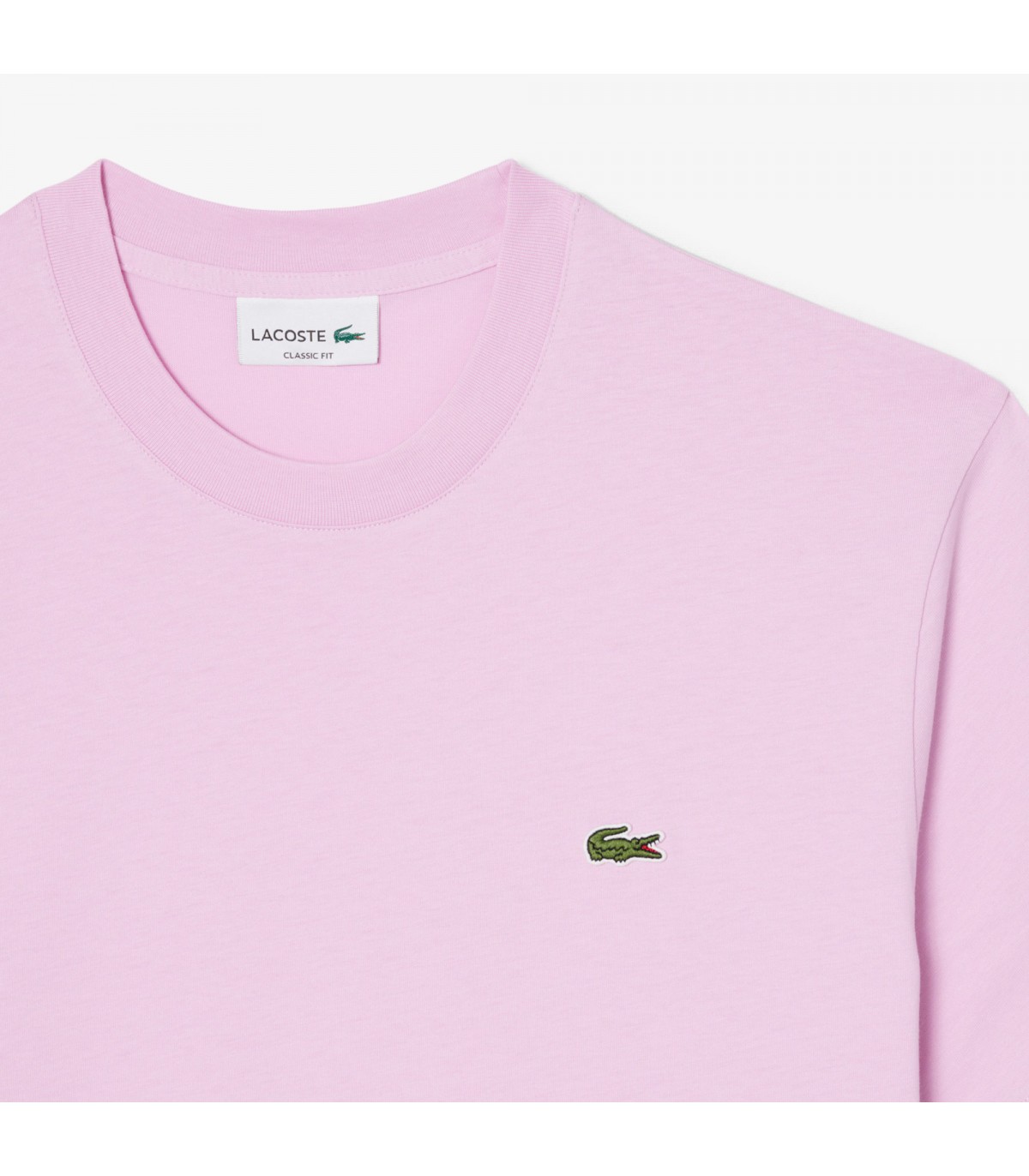 Tee shirt mc lacoste z4halbizia