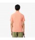 Polo mc lacoste ui2miami