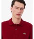 Polo ml lacoste 476bordeaux