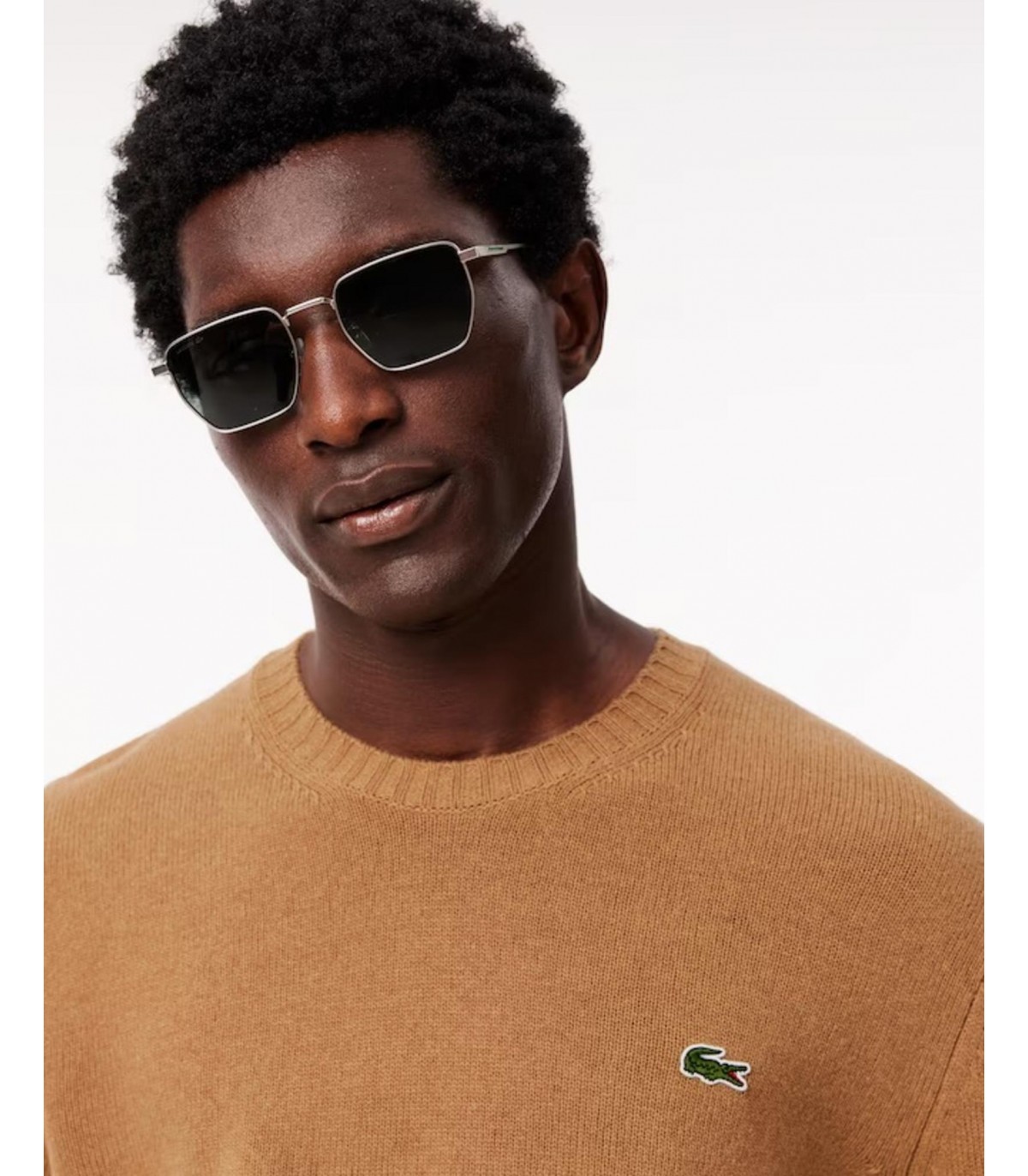 Pull col rond lacoste six-cookie