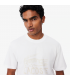 Tee shirt mc lacoste 001-blanc
