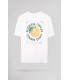 Tee shirt mc teddy smith 202blanc