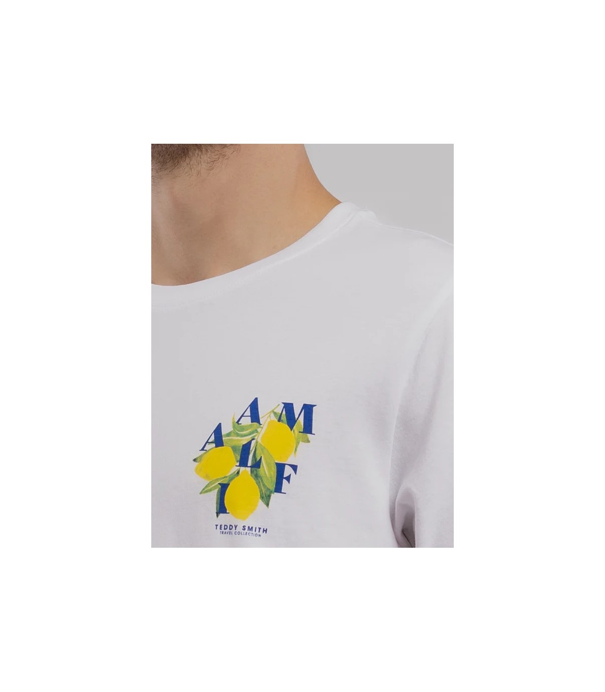 Tee shirt mc teddy smith 202blanc