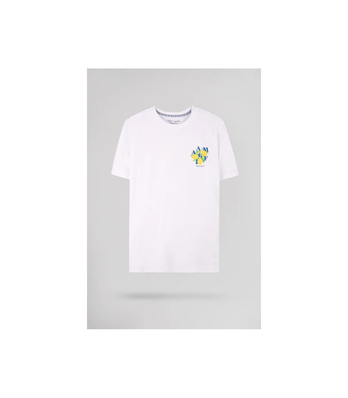 Tee shirt mc teddy smith 202blanc