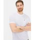 Tee shirt mc camel 01blanc