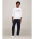 Sweat capuche tommy menswear ybrwhite