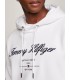 Sweat capuche tommy menswear ybrwhite