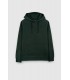 Sweat capuche teddy smith 431cvert
