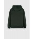 Sweat capuche teddy smith 431cvert
