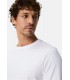 Tee shirt ml camel 01blanc