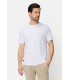 Tee shirt mc camel 01blanc