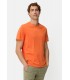 Tee shirt mc camel 66orange