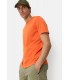 Tee shirt mc camel 66orange