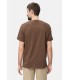Tee shirt mc camel 26choco