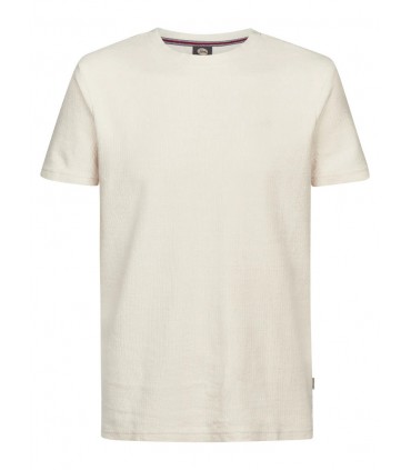 Tee shirt mc petrol 0112seashell