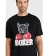 Tee shirt mc tps cerises 0001black