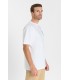 Tee shirt mc tps cerises 1001white