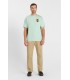 Tee shirt mc tps cerises 3311harbour