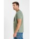 Tee shirt mc tps cerises 1043seaspray