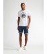 Tee shirt mc petrol 0000white