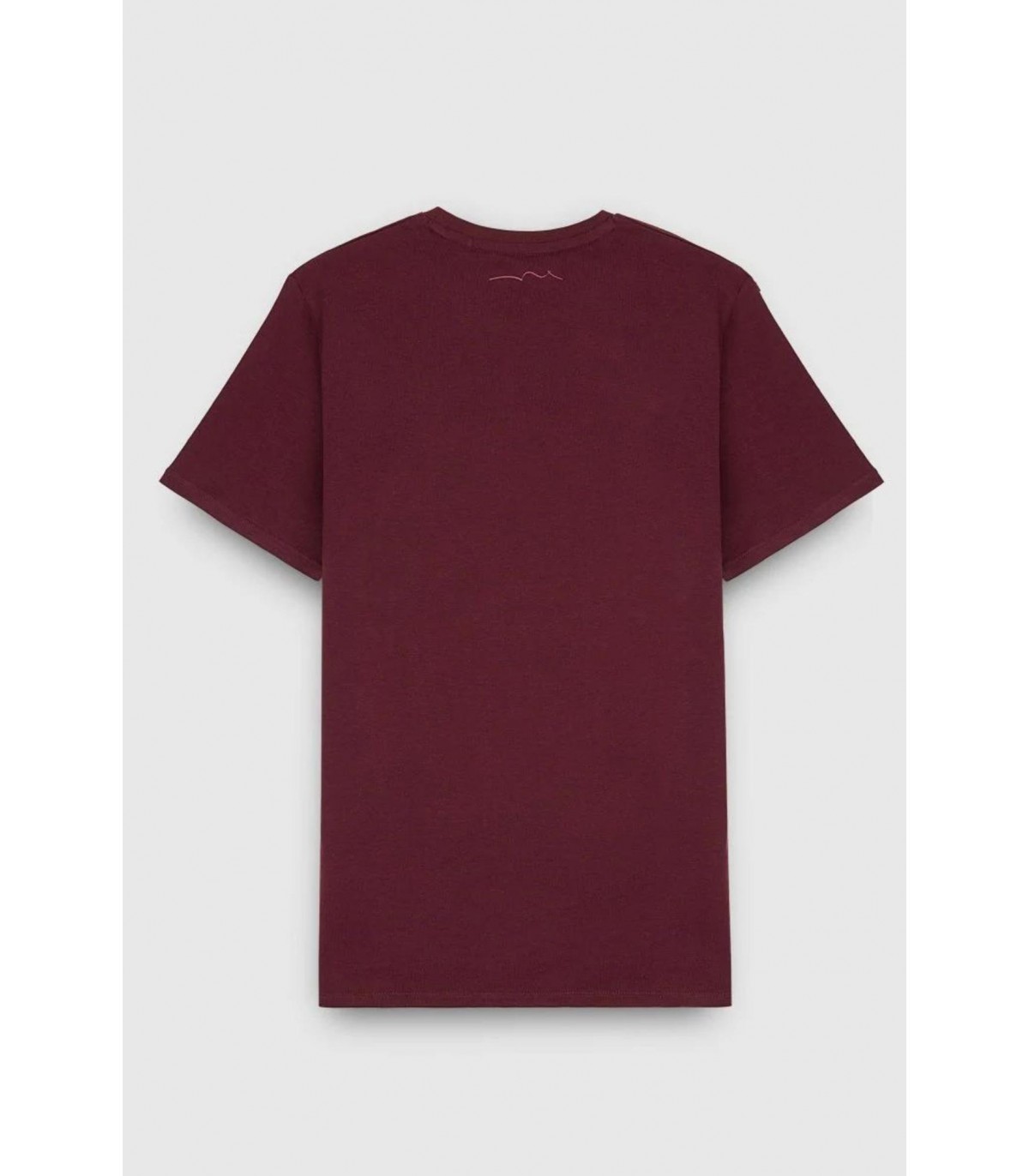 Tee shirt mc teddy smith 742cwine