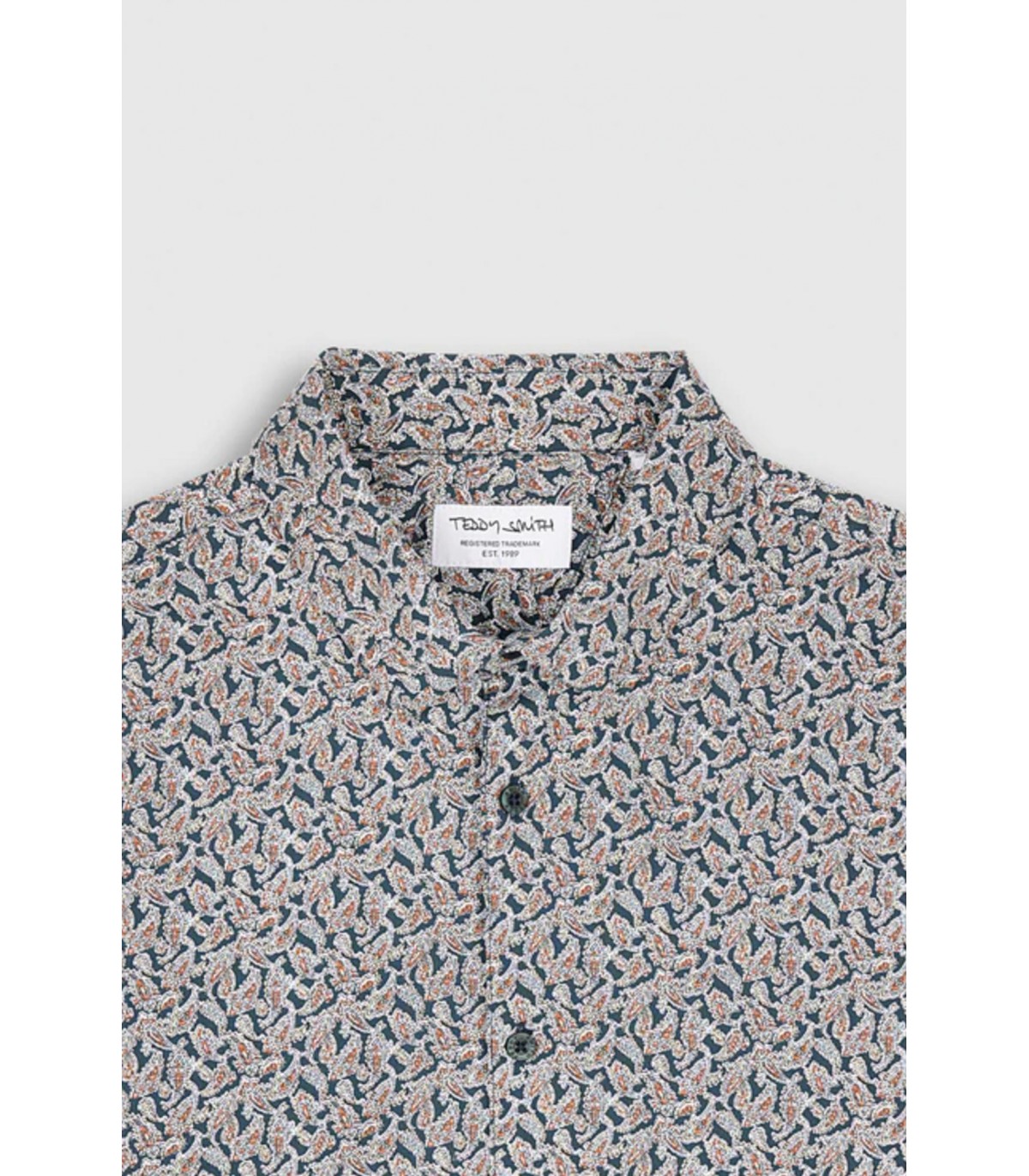 Chemise ml teddy smith 431cvert