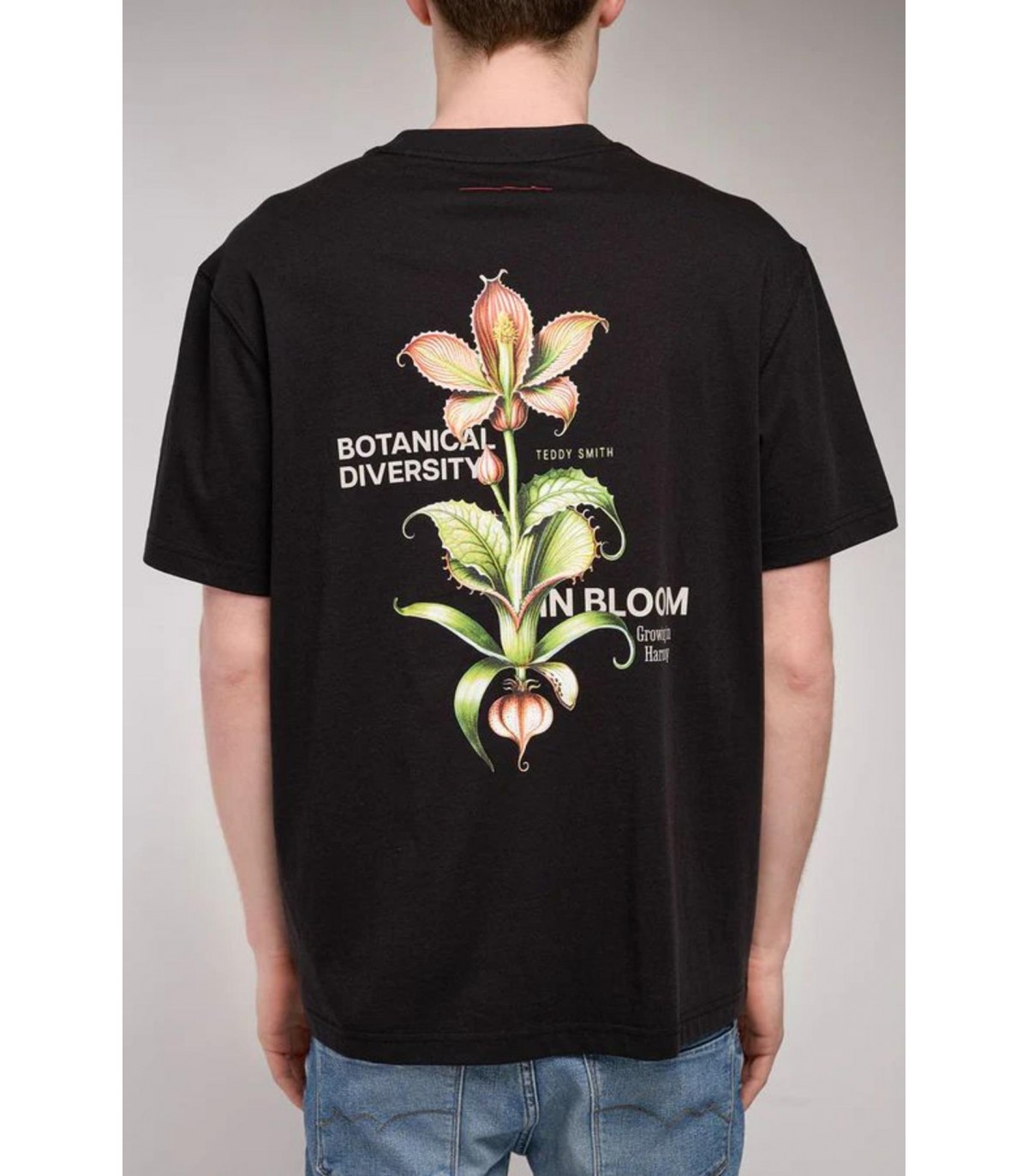 Tee shirt mc teddy smith 171noir