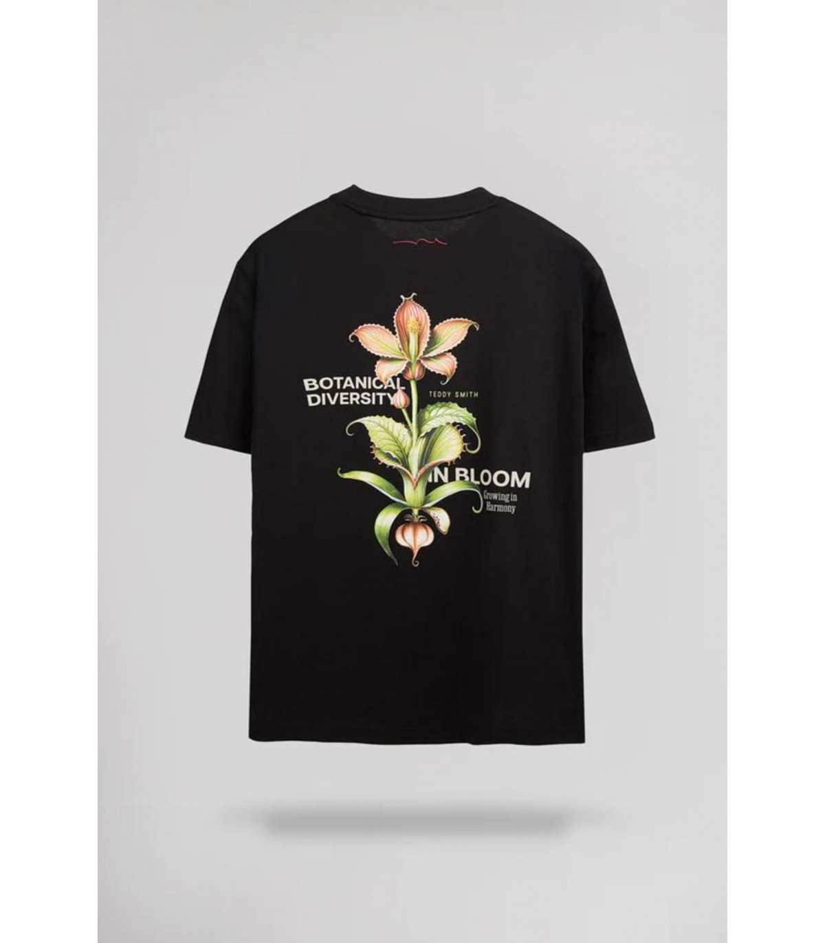 Tee shirt mc teddy smith 171noir