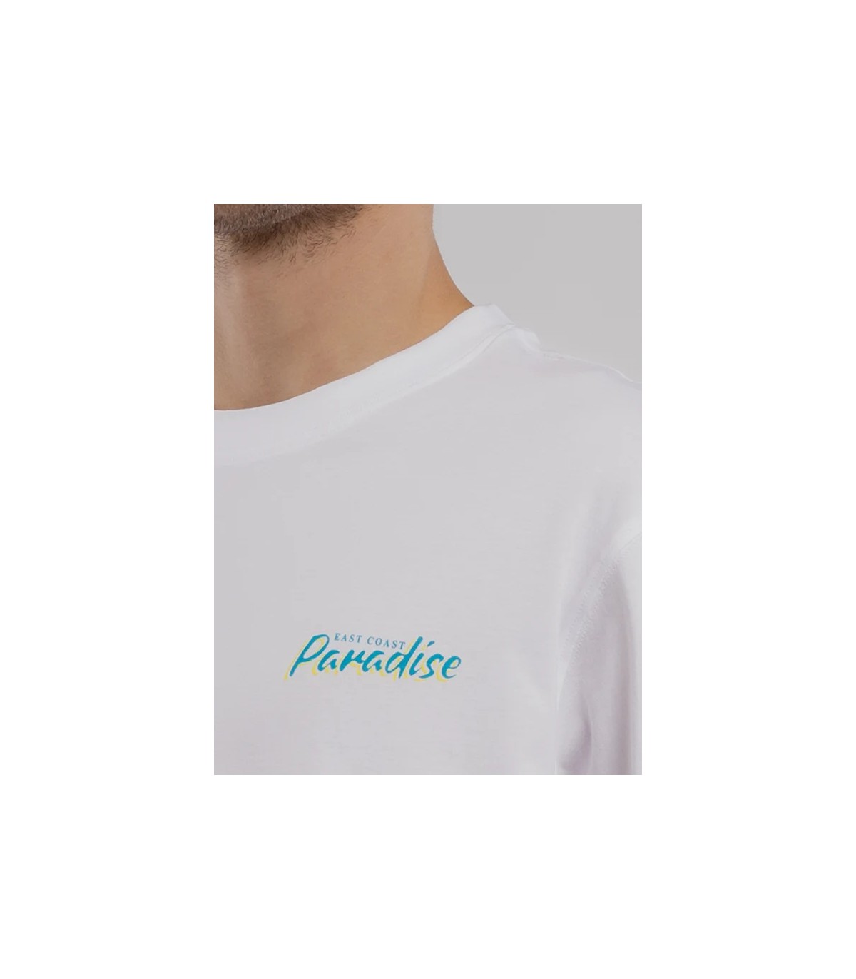 Tee shirt mc teddy smith 202blanc