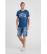 Tee shirt mc tps cerises 3656saphir