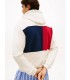 Sweat capuche tommy menswear z00ivory