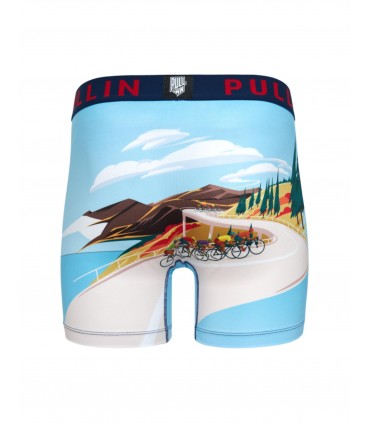 Boxer pull in 