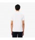 Polo mc lacoste 001-blanc