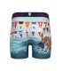 Boxer pull in 