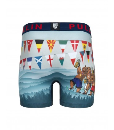 Boxer pull in 