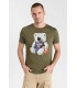 Tee shirt mc tps cerises 9123kaki