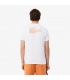 Tee shirt mc lacoste 49t-blanc/blossom