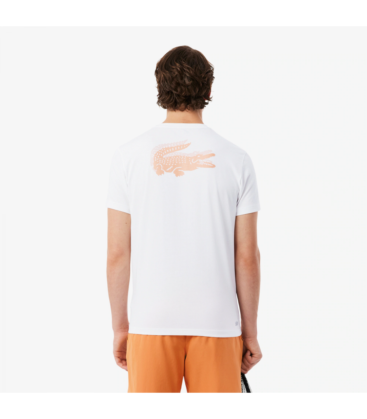 Tee shirt mc lacoste 49t-blanc/blossom