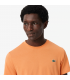 Tee shirt mc lacoste 4ad-blossom/angie