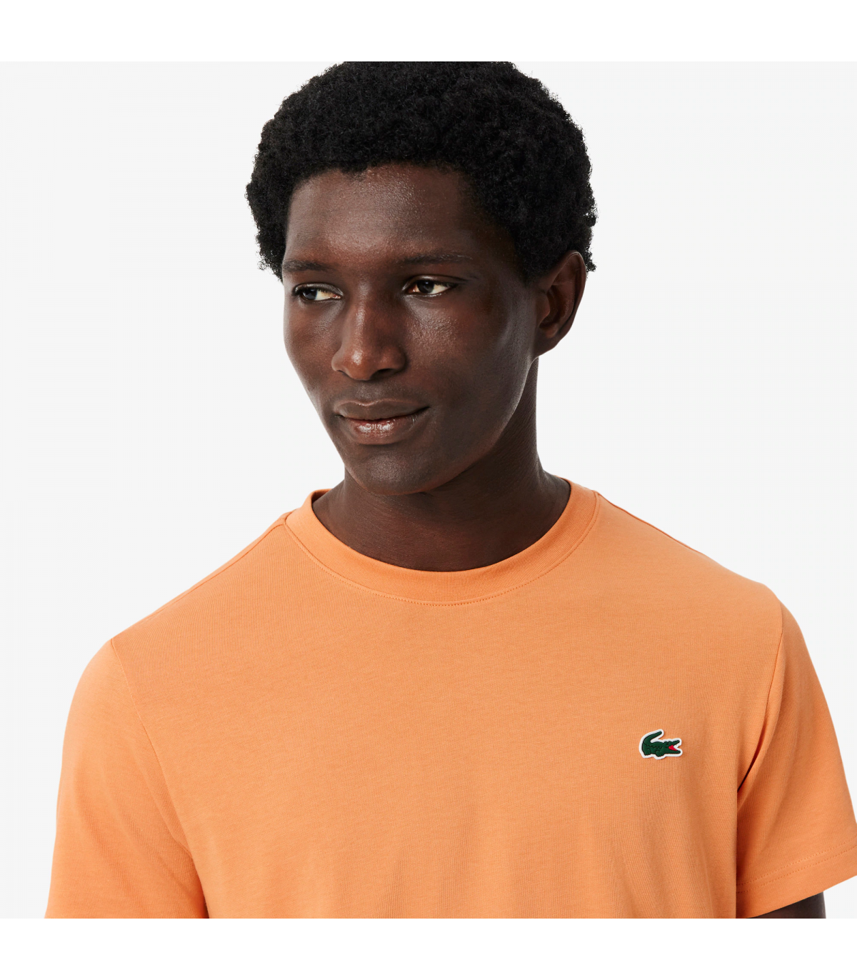 Tee shirt mc lacoste 4ad-blossom/angie