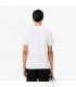 Tee shirt mc lacoste 001-blanc